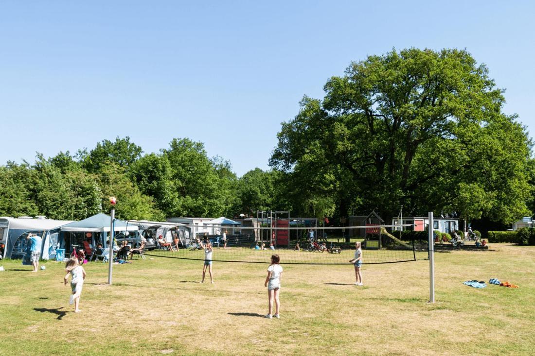 Chalet 'T Rijsterbos Op Camping Met Zwembad! Villa Eksteriør billede