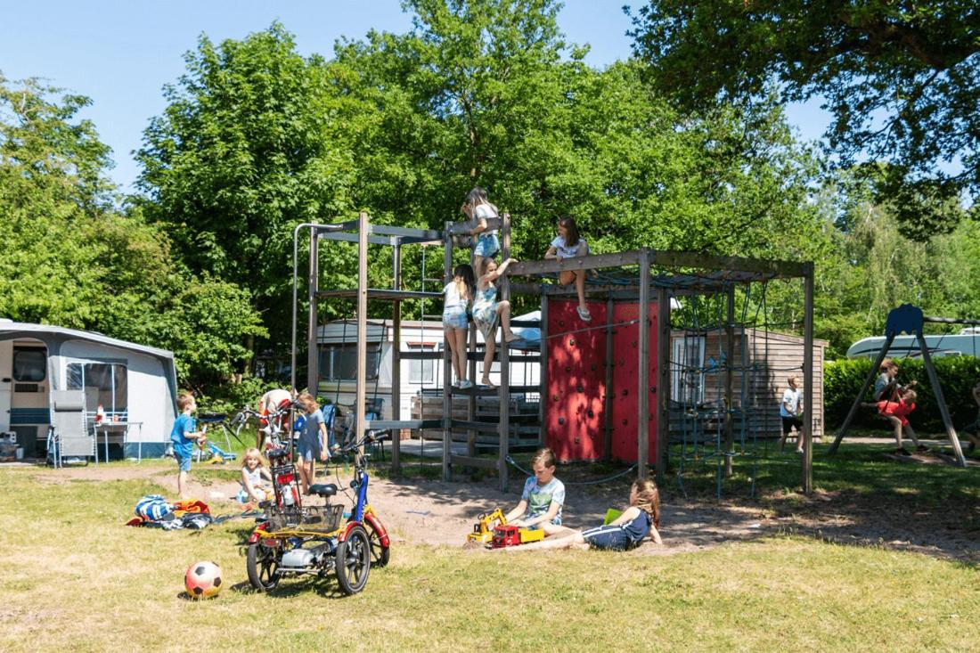 Chalet 'T Rijsterbos Op Camping Met Zwembad! Villa Eksteriør billede