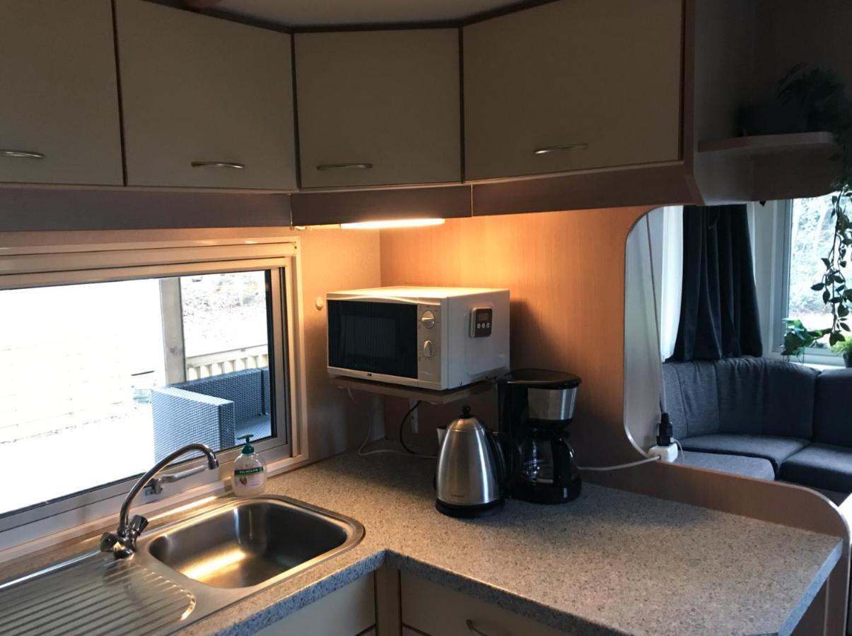 Chalet 'T Rijsterbos Op Camping Met Zwembad! Villa Eksteriør billede